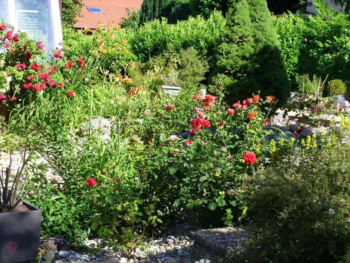 Mittenbach Oberhaslach Extérieur photo